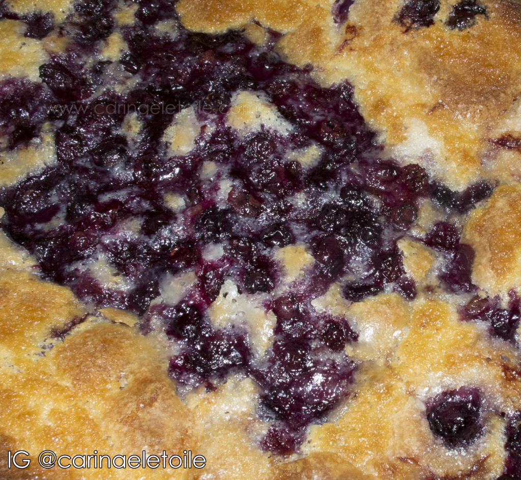 Blueberry Cobbler | Carinae L'etoile's polish stash